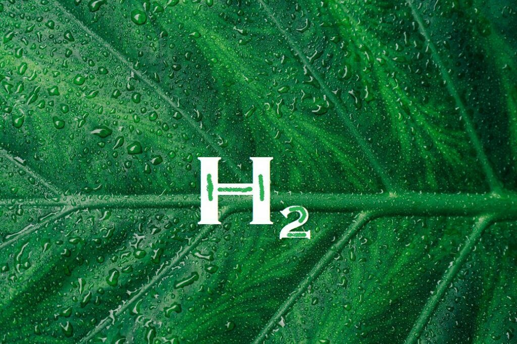 Understanding Membrane Technology: A Key to Affordable Green Hydrogen Production