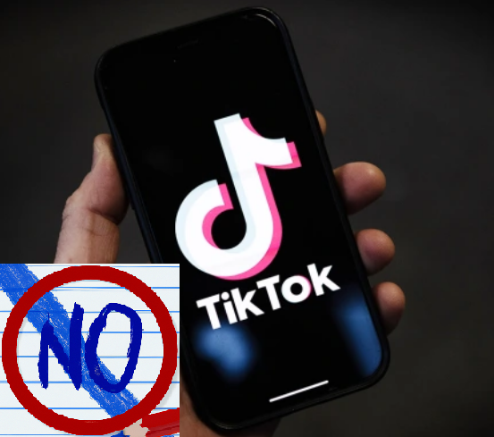 TikTok Banned in Montana